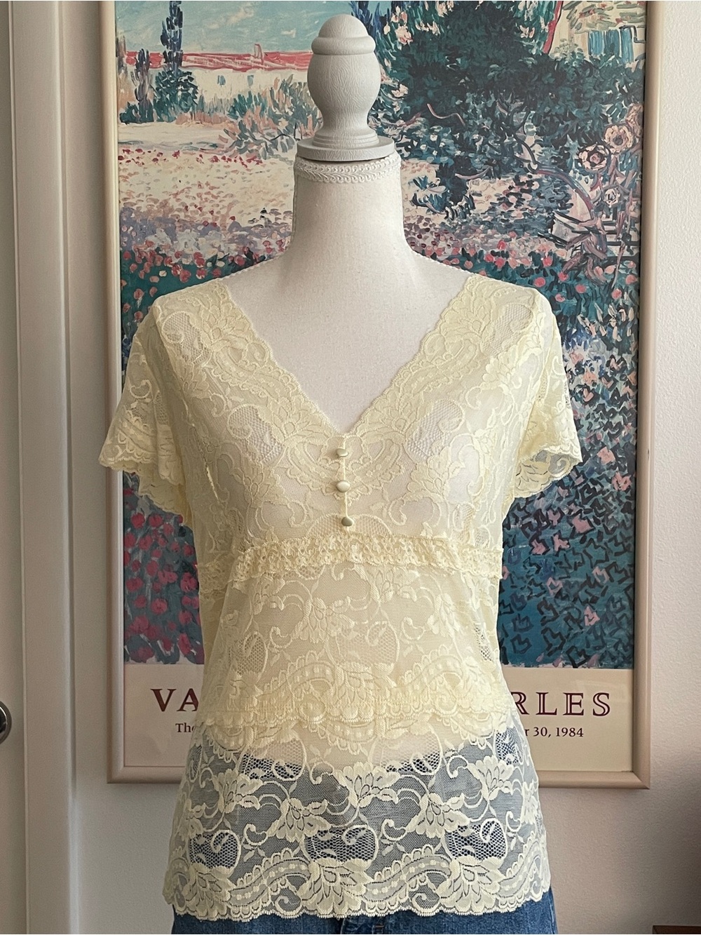 Vintage Y2K Sheer Lace V-Neck Top M Cream Coquette Fairy Cottagecore Victorian